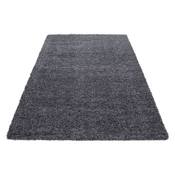 Dream Shaggy teppich hochflor rechteckig 80x150cm grau