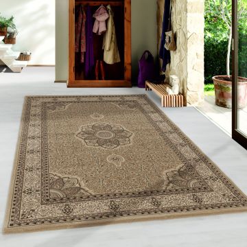 Kashmir Indi teppich kurzflor rechteckig 240x340cm beige