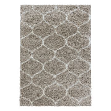 Salsa Shaggy teppich hochflor rechteckig 240x340cm beige