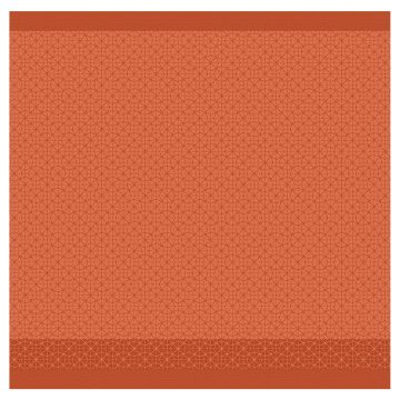 DDDDD Chrystal geschirrtuch 60x65cm sienna (6 stück)