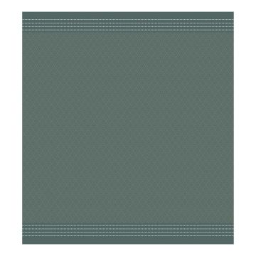 DDDDD Akira geschirrtuch 60x65cm grün (6 stück)