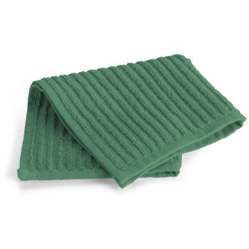 Clean & Shiny horeca spültuch 30x30cm grün (6 stück)