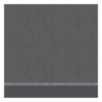 DDDDD Barrier geschirrtuch 60x65cm anthrazit (6 stück)
