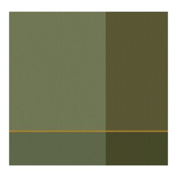 DDDDD Blend geschirrtuch 60x65cm olivgrün (6 stück)