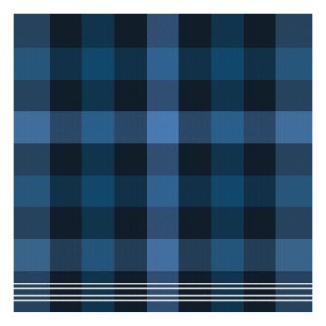 DDDDD Feller geschirrtuch 60x65cm blau (6 stück)