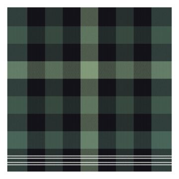 DDDDD Feller geschirrtuch 60x65cm grün (6 stück)