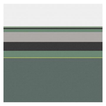 DDDDD Rico geschirrtuch 60x65cm grün (6 stück)