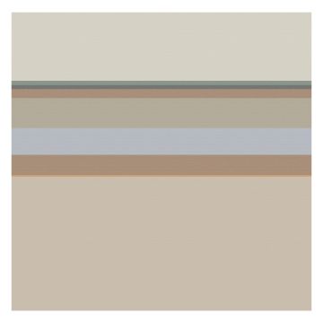 DDDDD Rico geschirrtuch 60x65cm sandfarbe (6 stück)