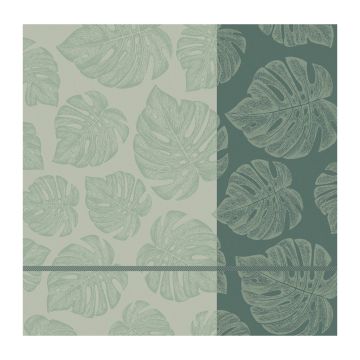DDDDD Monstera geschirrtuch 60x65cm lorbeer (6 stück)