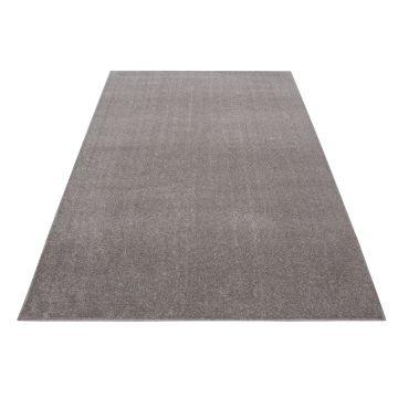 Ata teppich kurzflor rechteckig 60x100cm beige