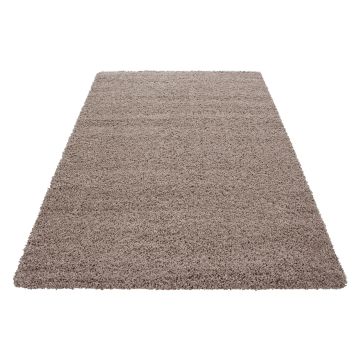 Dream Shaggy teppich hochflor rechteckig 60x110cm beige