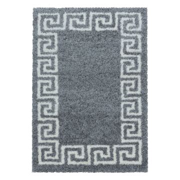 Hera Shaggy teppich hochflor rechteckig 60x110cm grau