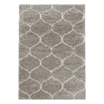 Salsa Shaggy teppich hochflor rechteckig 120x170cm beige