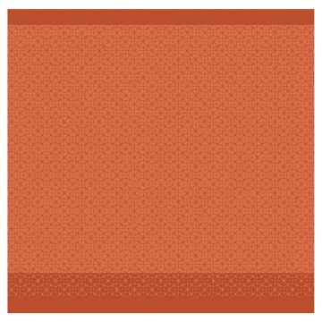 DDDDD Chrystal geschirrtuch 60x65cm sienna (6 stück)